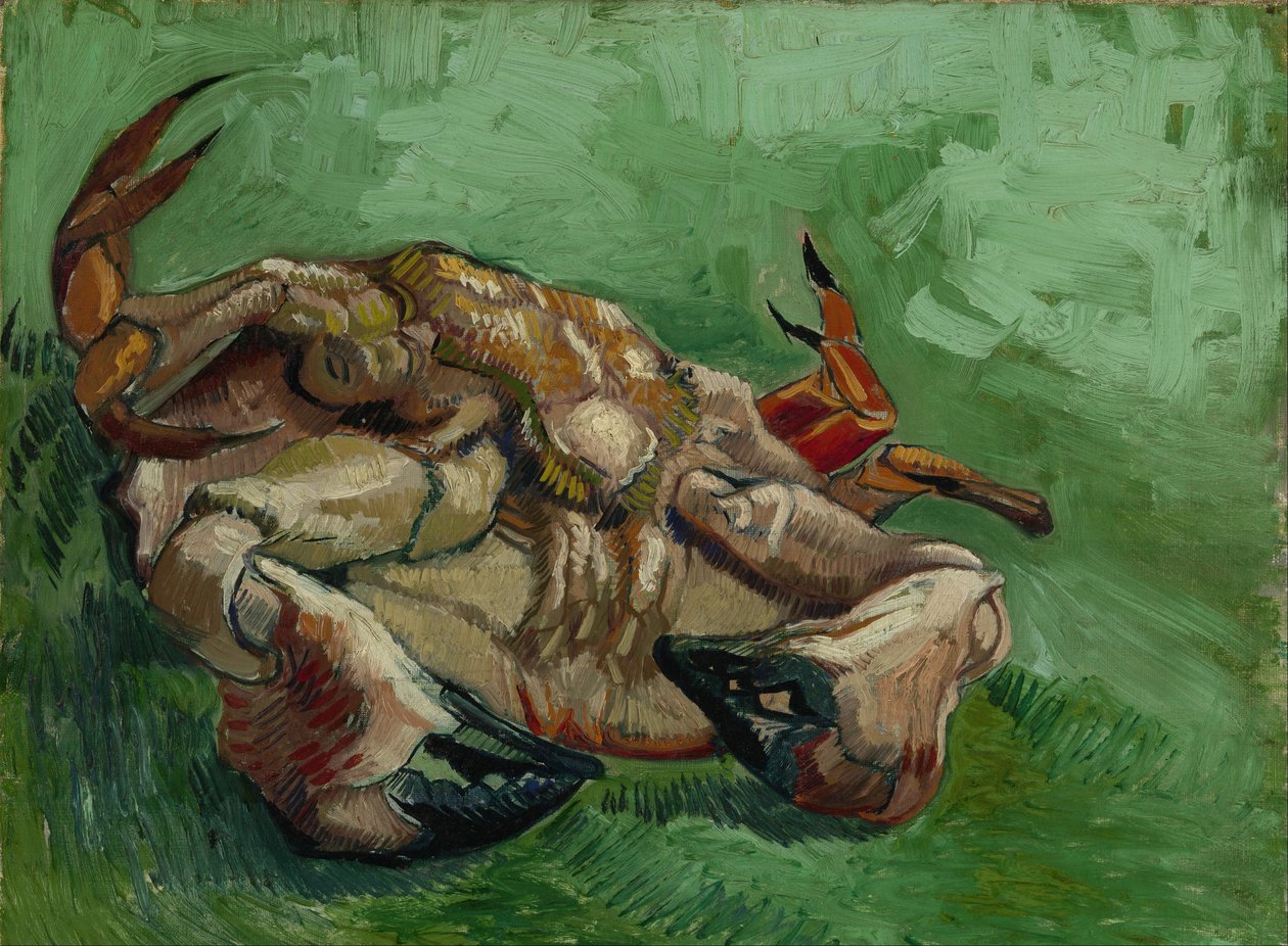 En krabba på rygg av Vincent van Gogh