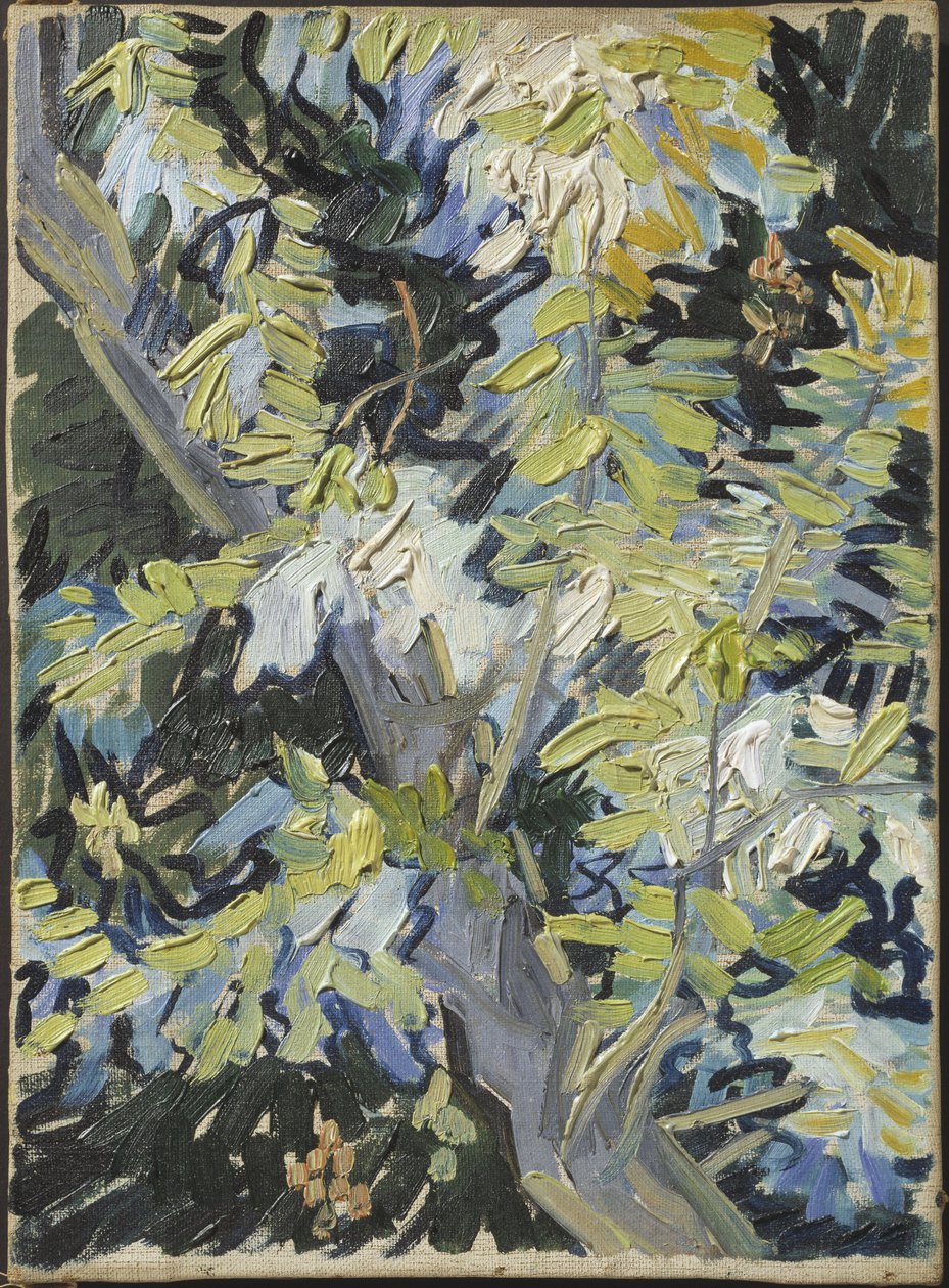 Acacia en fleur - Acacia Flowering, av Gogh, Vincent, van (1853-1890). Olja på duk. Mått: 33x24 cm. Nationalmuseum Stockholm av Vincent van Gogh