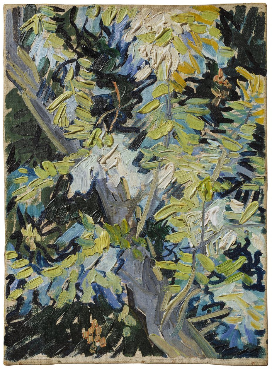 Blommande akacia av Vincent van Gogh
