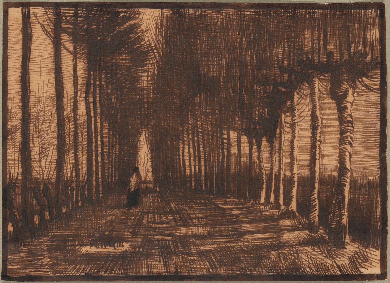 Allé med björkar och popplar från Pollard av Vincent van Gogh