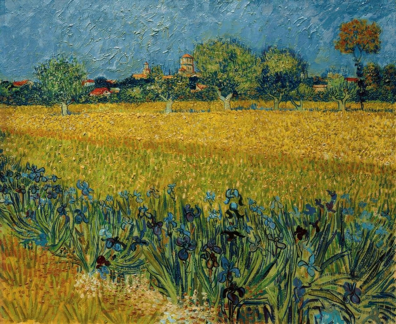 Vy över Arles med irisblommor i förgrunden av Vincent van Gogh
