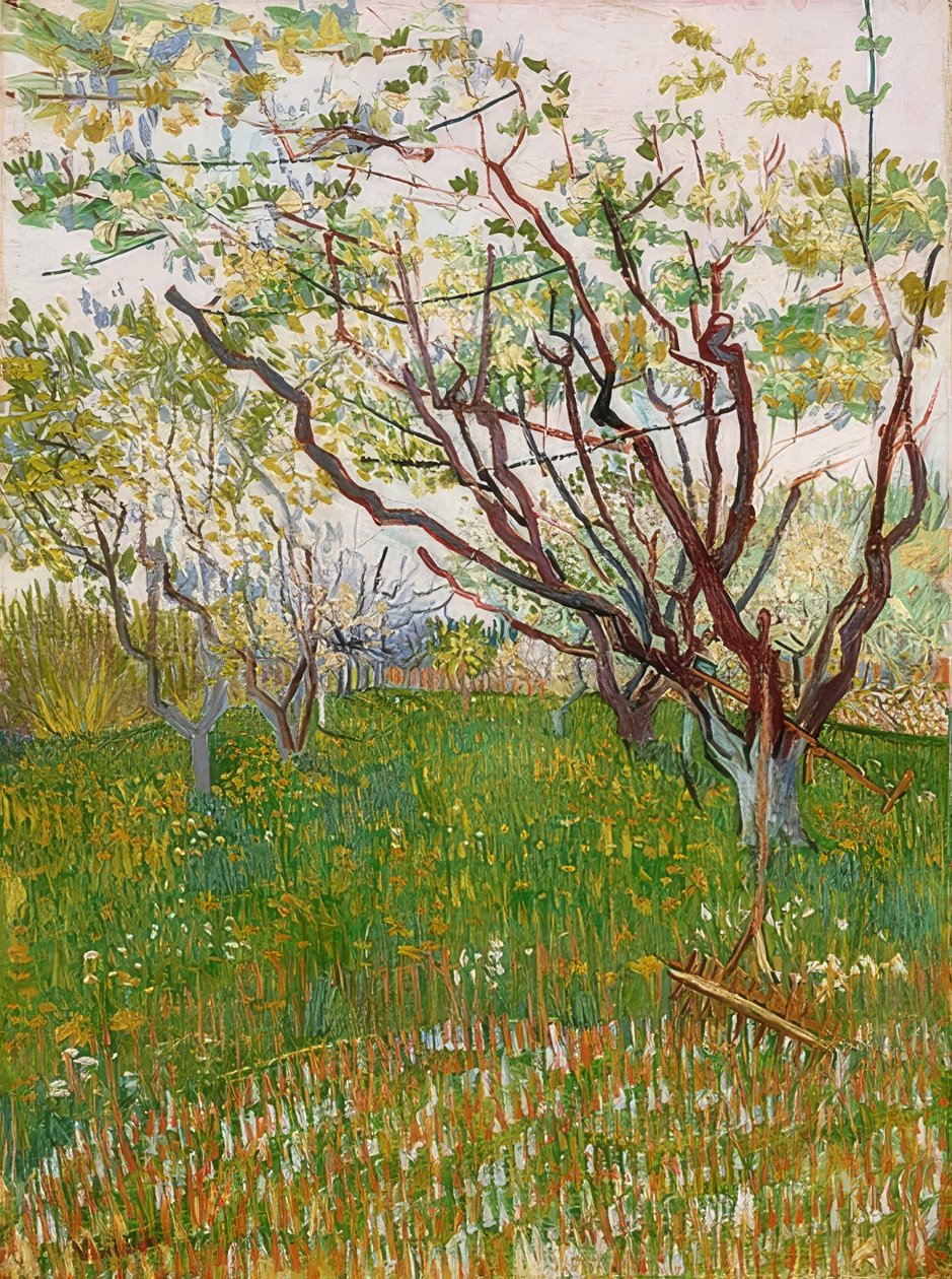 Blommande fruktträdgård. 1888 av Vincent van Gogh