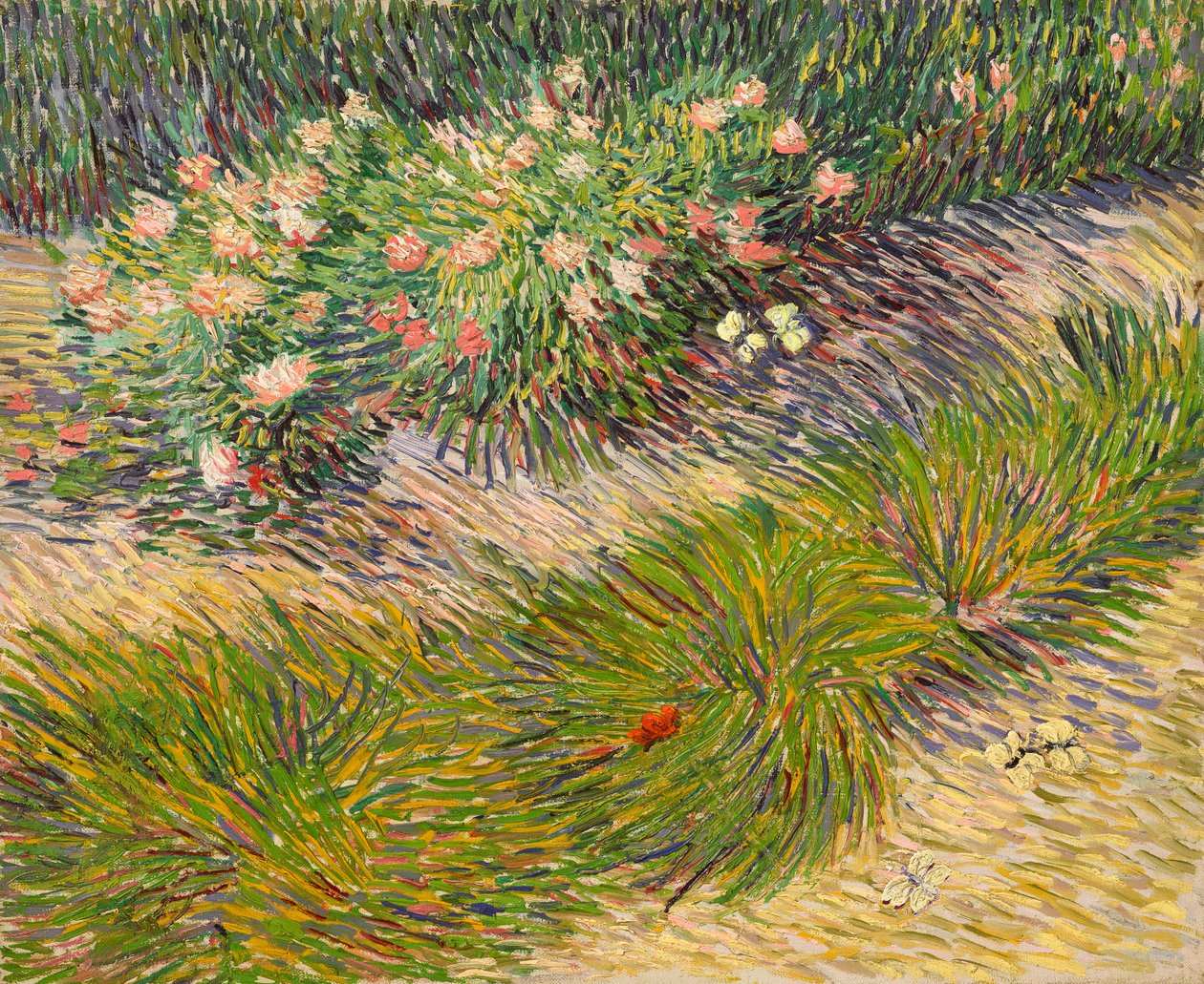Hörn av trädgården med fjärilar av Vincent van Gogh