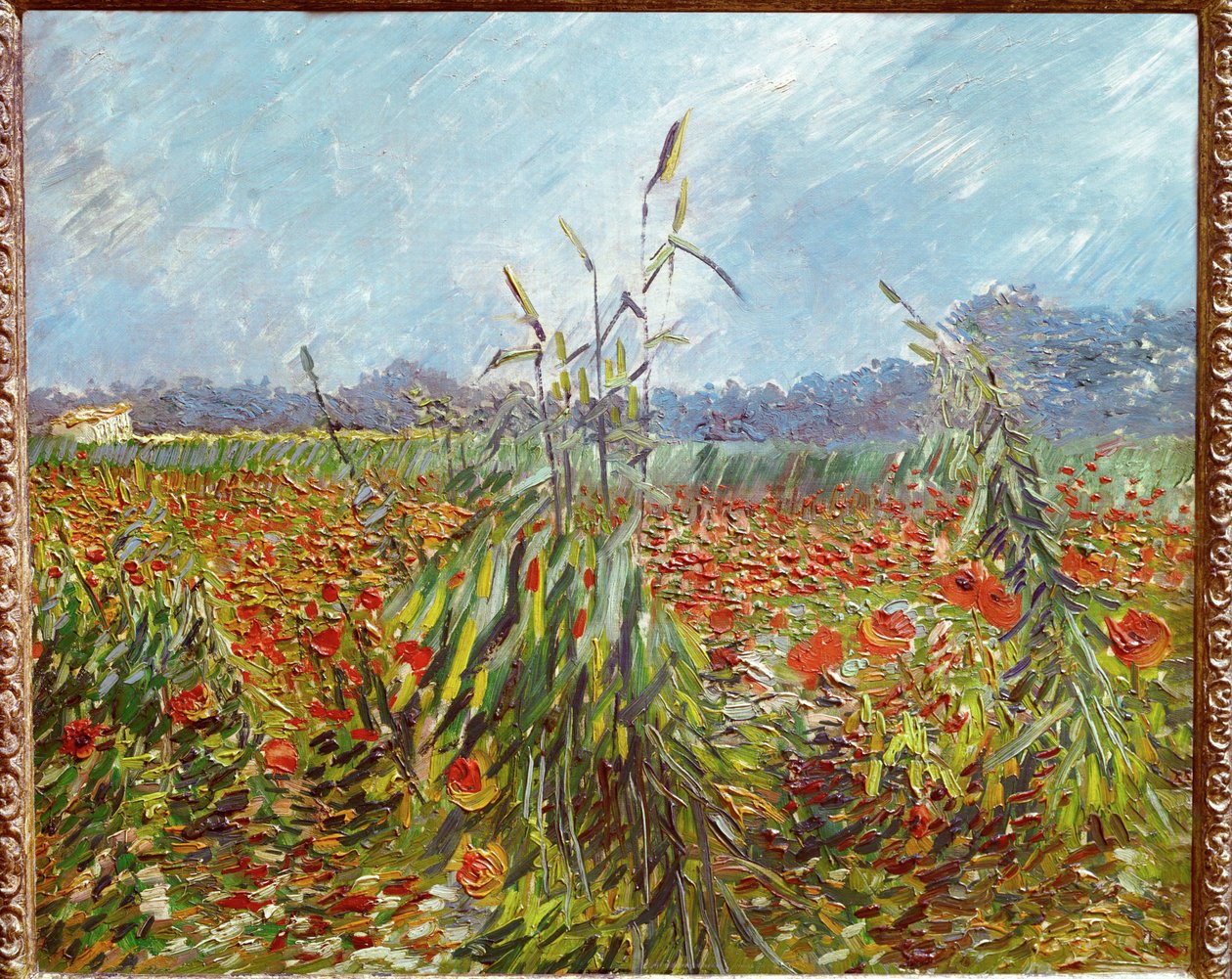 Kornfält och vallmo (olja på duk) av Vincent van Gogh