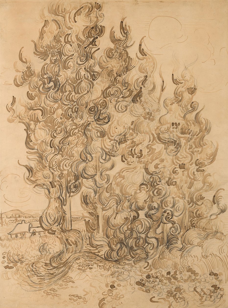 Cypresser av Vincent van Gogh