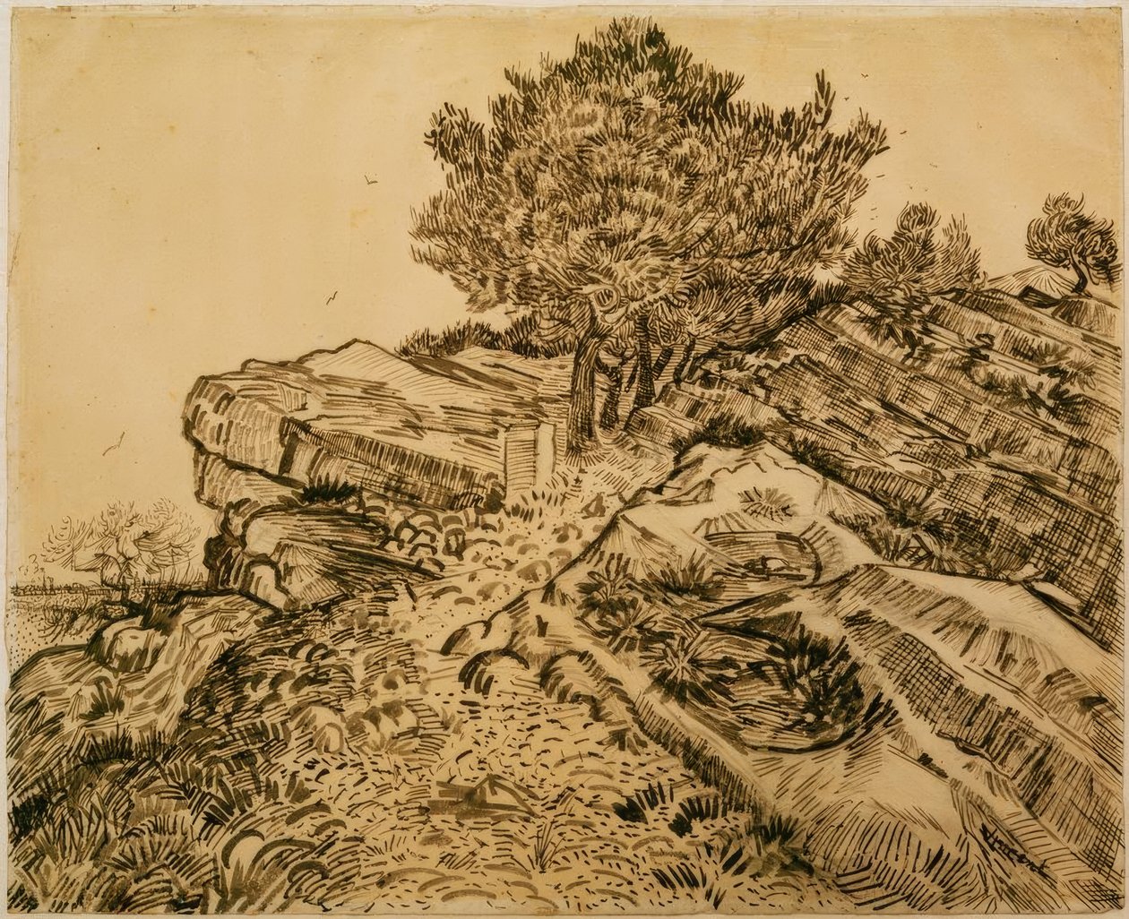 Klippan av Montmajour med tallar av Vincent van Gogh