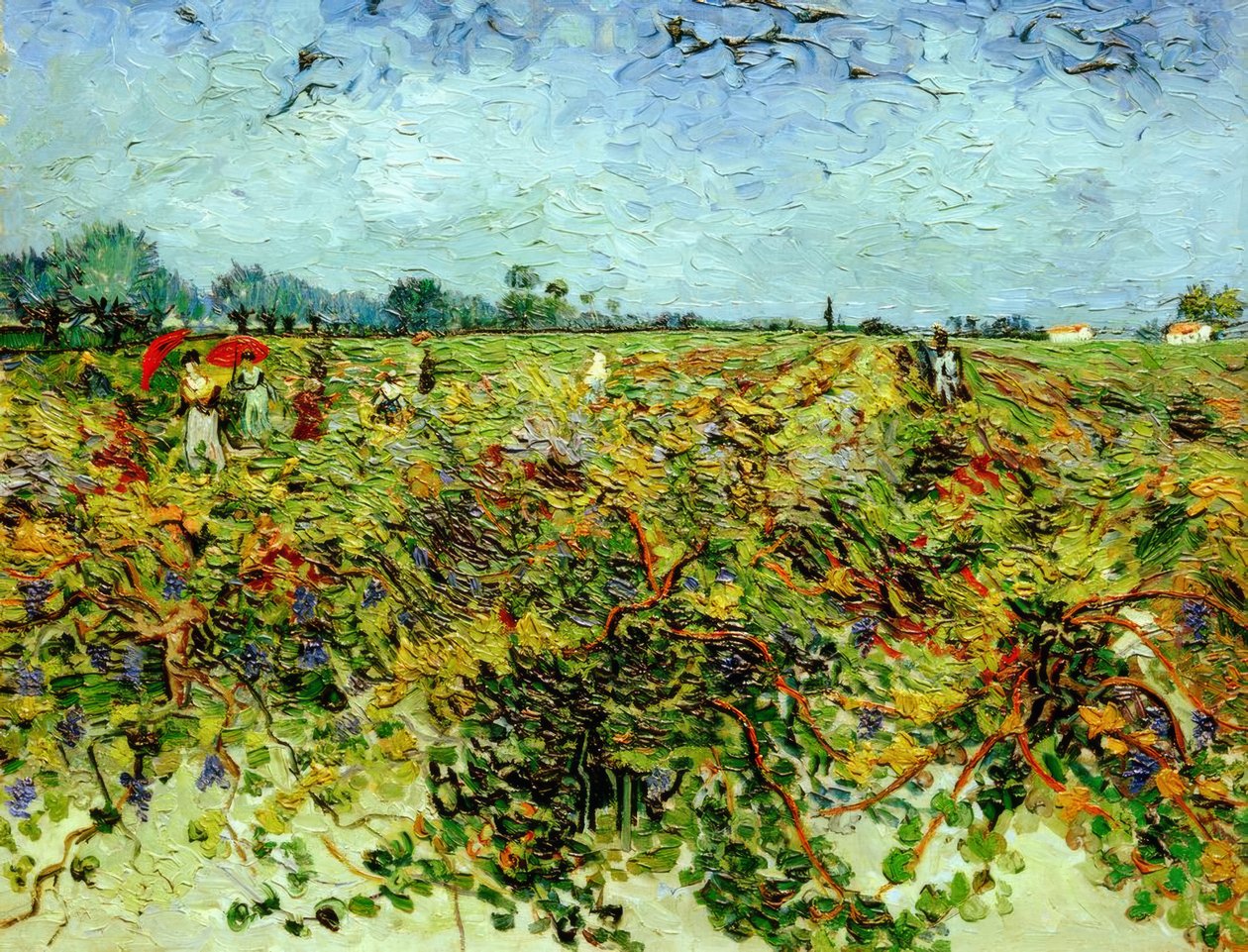 Den gröna vingården av Vincent van Gogh
