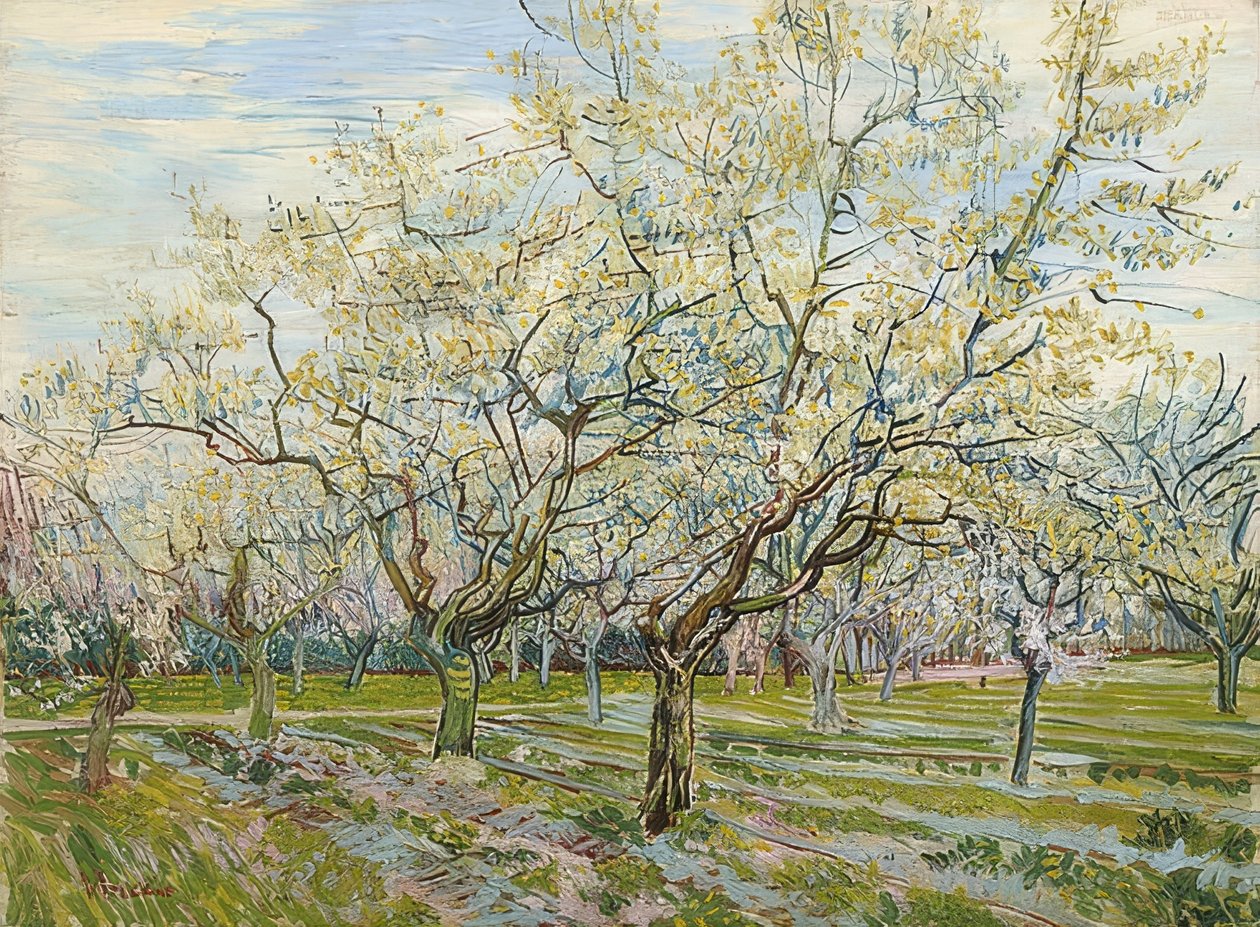 Den vita fruktträdgården. 1888 av Vincent van Gogh