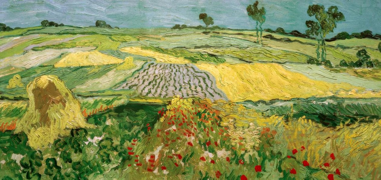 Auvers slätten av Vincent van Gogh