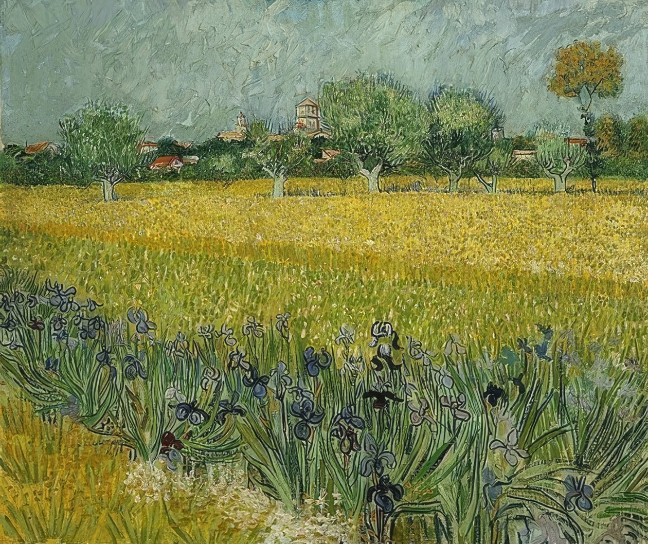 Fält med iris nära Arles. maj 1888 av Vincent van Gogh