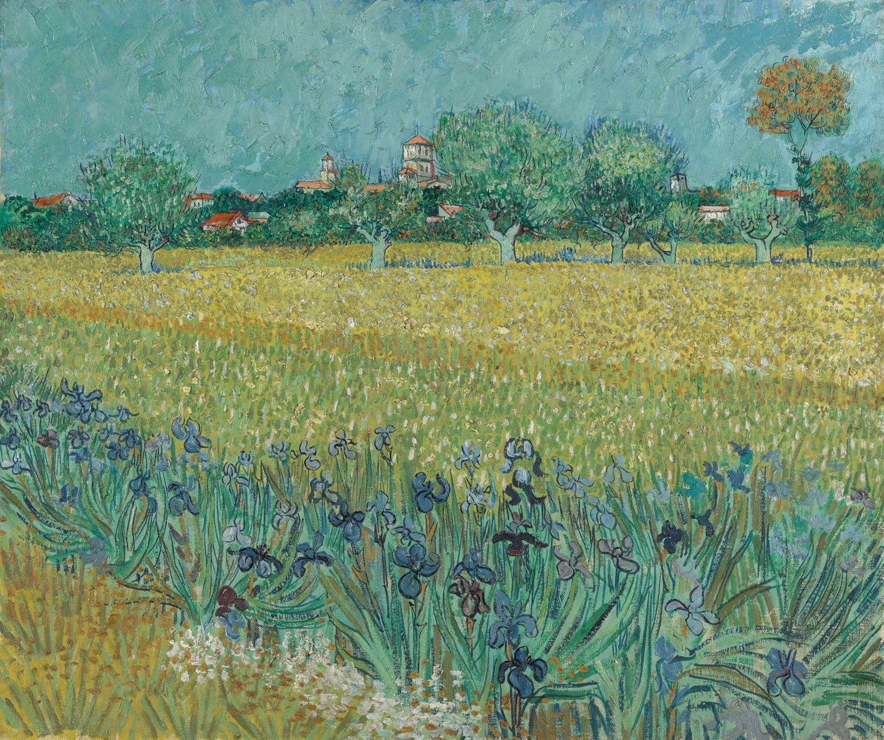 Fält med blommor nära Arles av Vincent van Gogh