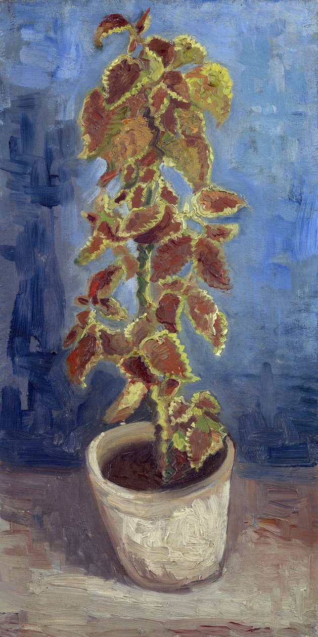 Flame Nettle in a Flowerpot par Gogh, Vincent, van (1853-1890). Olja på duk, storlek: 42,1x21,9 av Vincent van Gogh