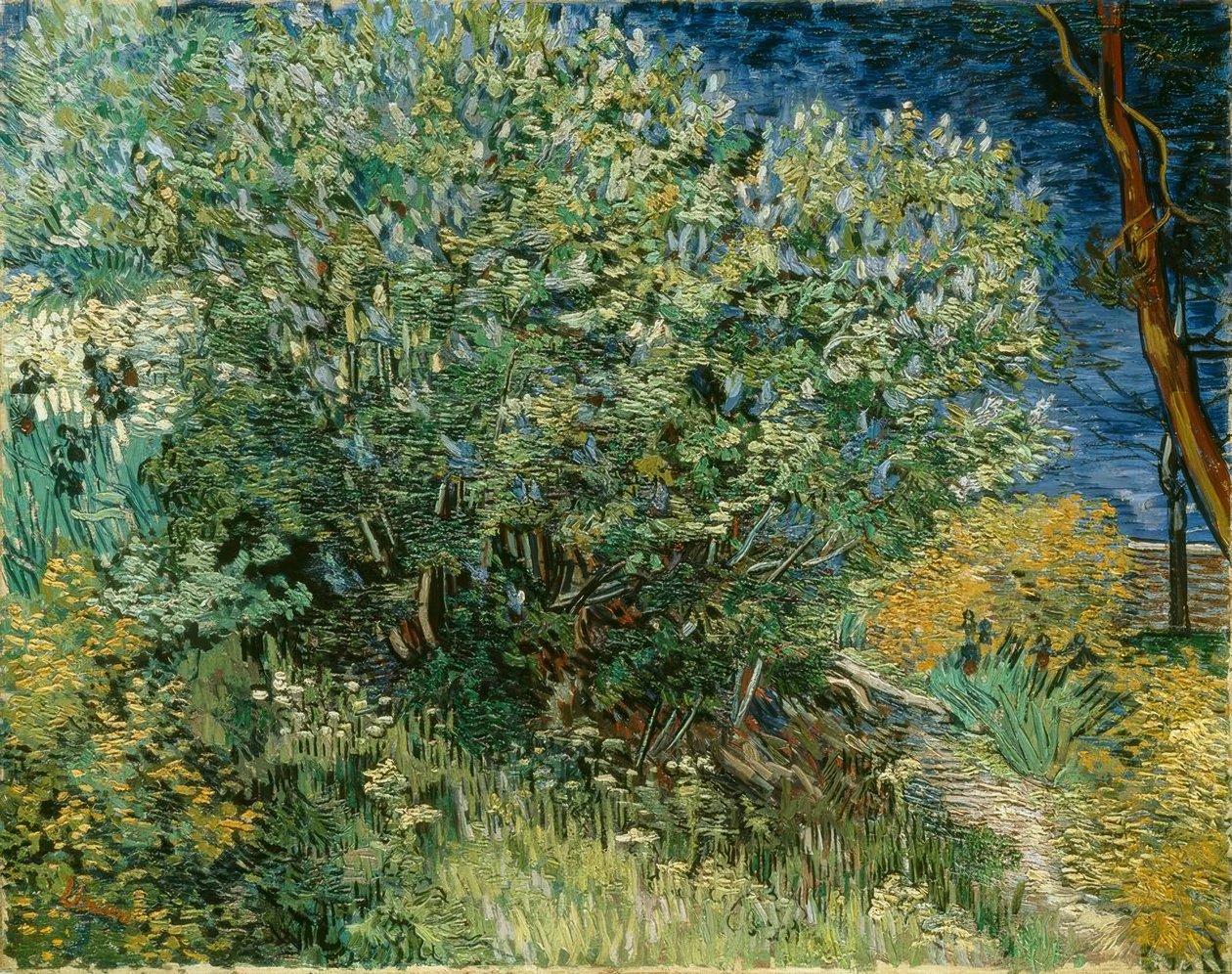 Syrenbuske av Vincent van Gogh