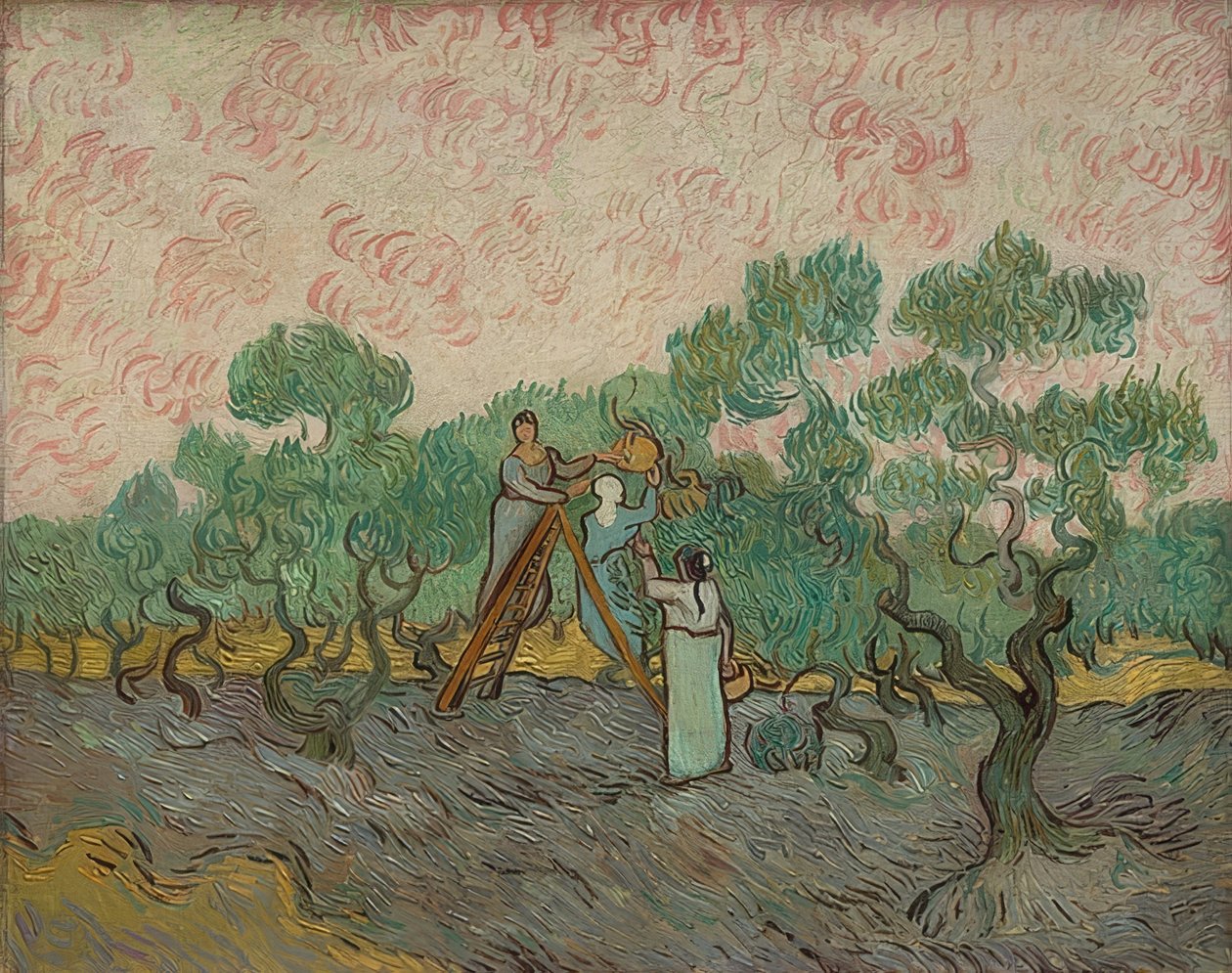 Kvinnor som skördar oliver. 1889 av Vincent van Gogh