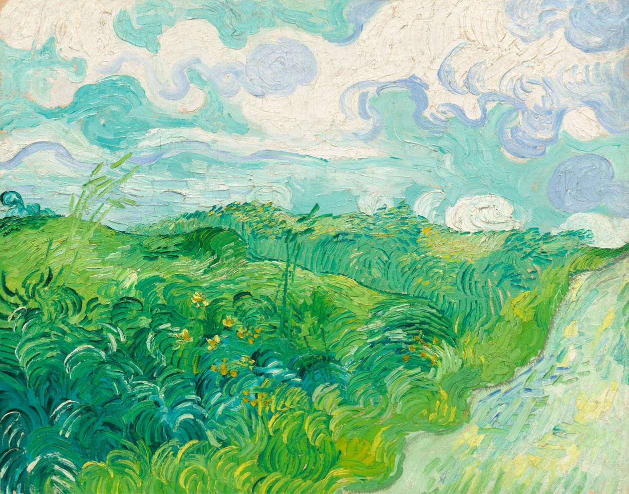 Gröna vetefält, Auvers av Vincent van Gogh