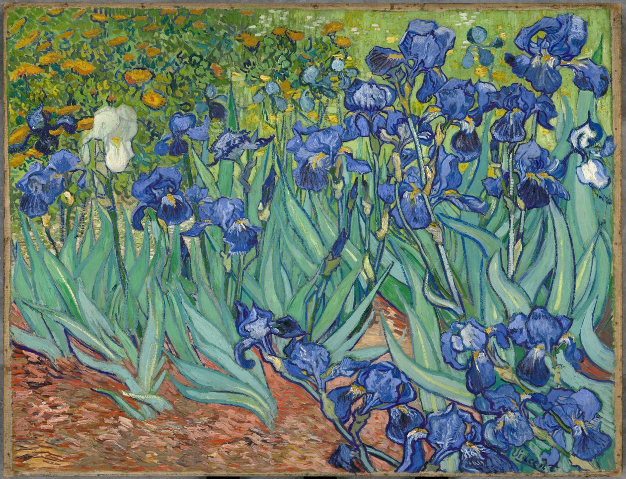 Iris av Vincent van Gogh