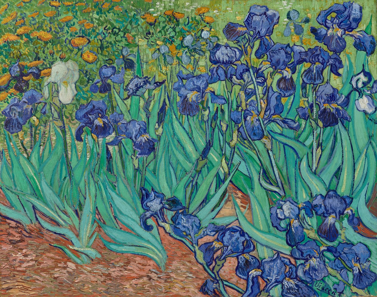 Irisar av Vincent van Gogh