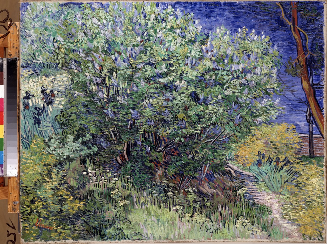 ""Syrenbusken"" (Lilac Bush) Målning av Vincent van Gogh (1853-1890) 1889 Mått 72x92 cm Eremitagemuseet, Sankt Petersburg (Saint-Petersburg) av Vincent van Gogh