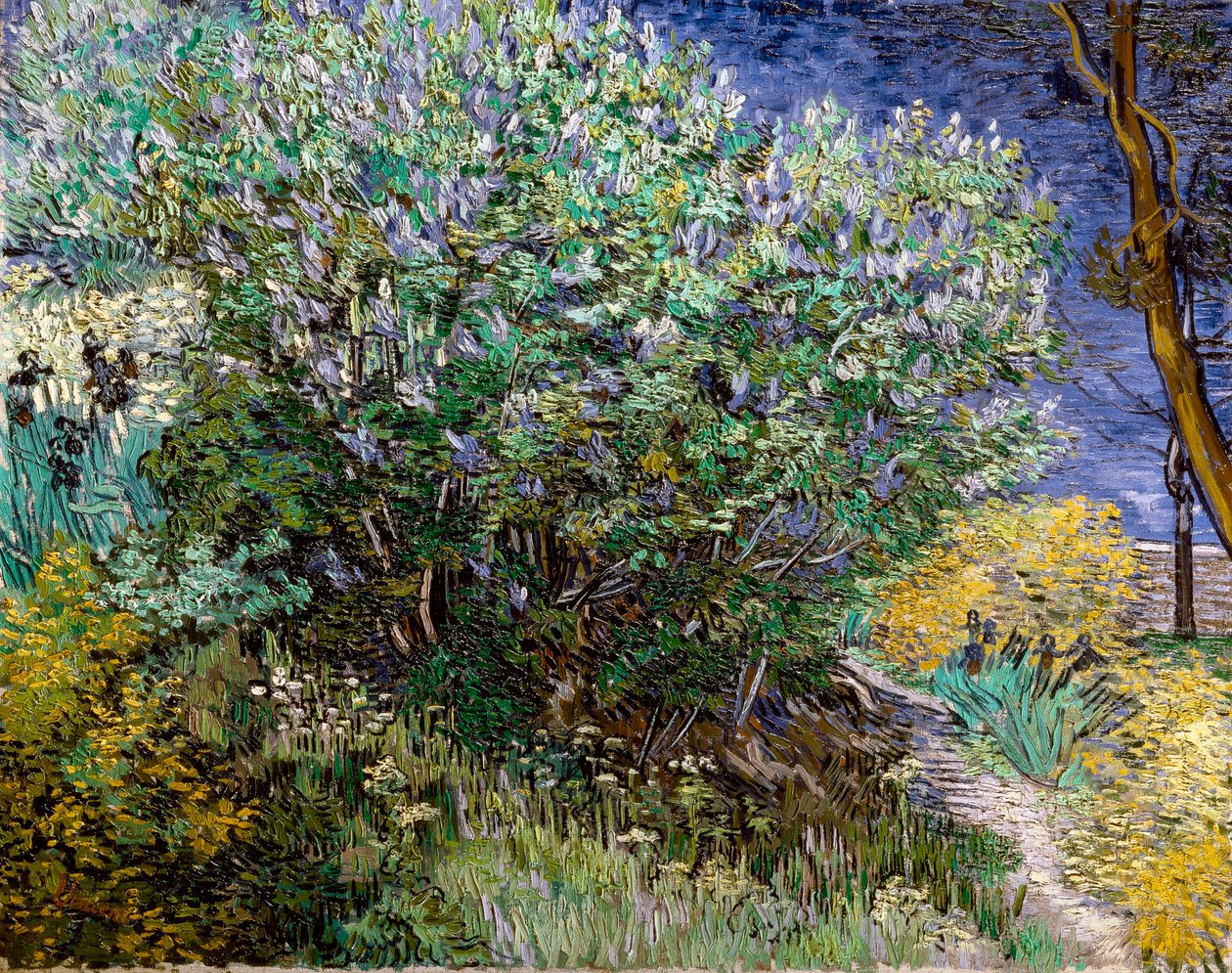 Syrenbusken. Vincent VAN GOGH (1853-1890) av Vincent van Gogh