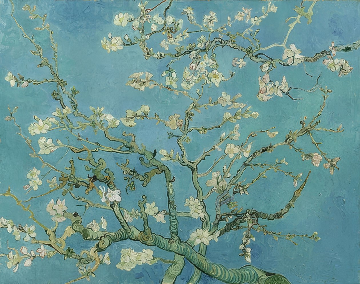Mandelblommor. 1890 av Vincent van Gogh