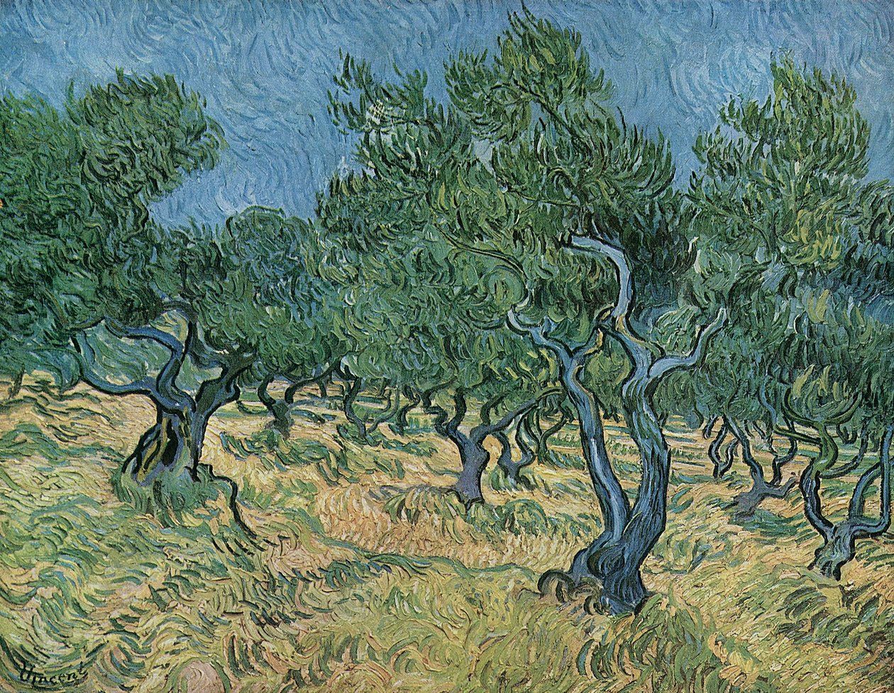 Olivlund av Vincent van Gogh