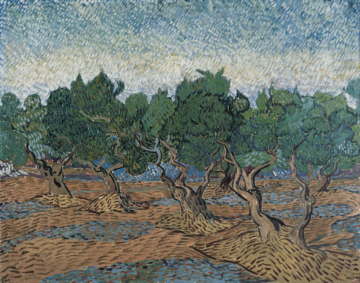 Olivlund av Vincent van Gogh