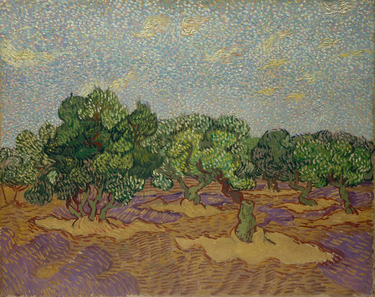 Olivträd av Vincent van Gogh