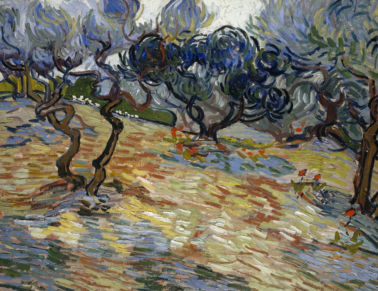 Olivträd: Klarblå himmel av Vincent van Gogh