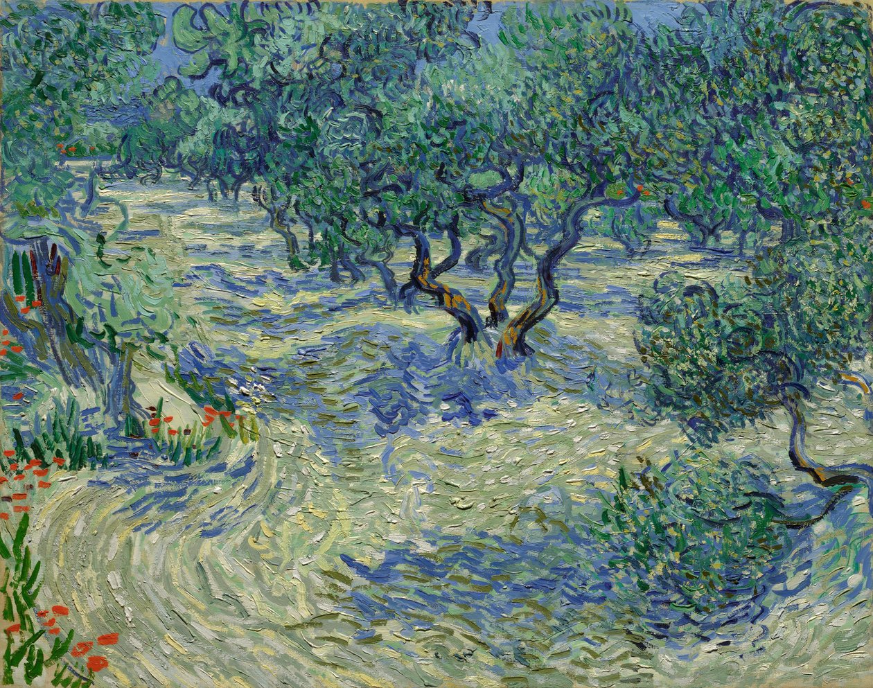 Olivträd / Olivlund av Vincent van Gogh