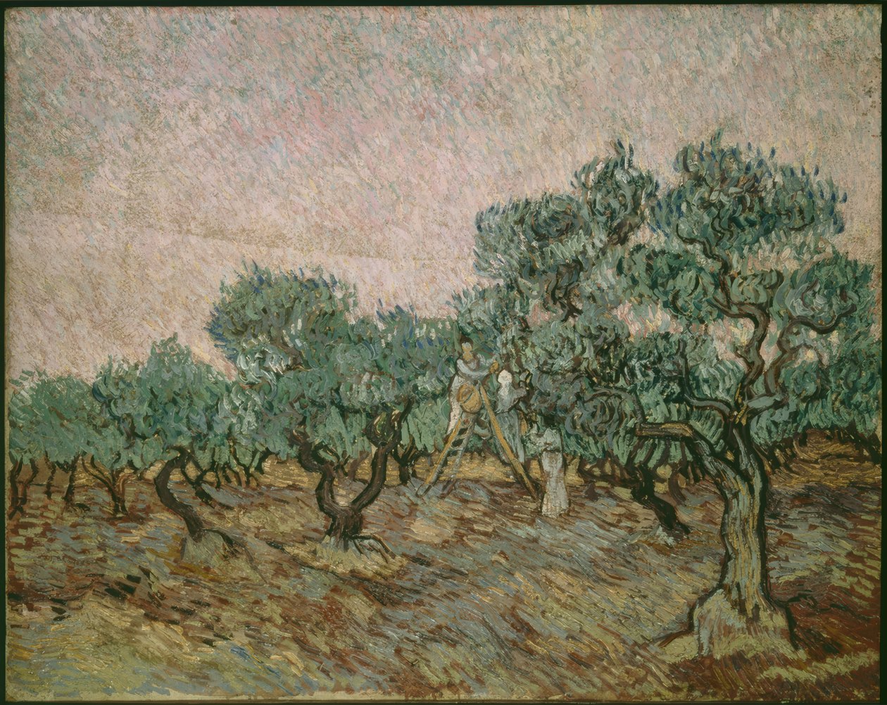 Olivplockare av Vincent van Gogh