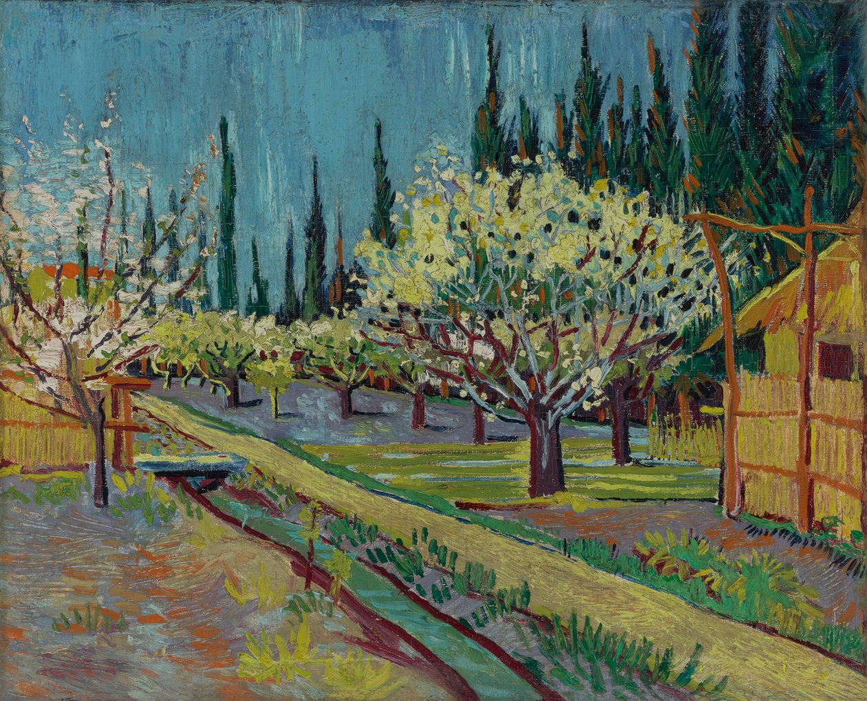 Fruktträdgård kantad av cypresser av Vincent van Gogh