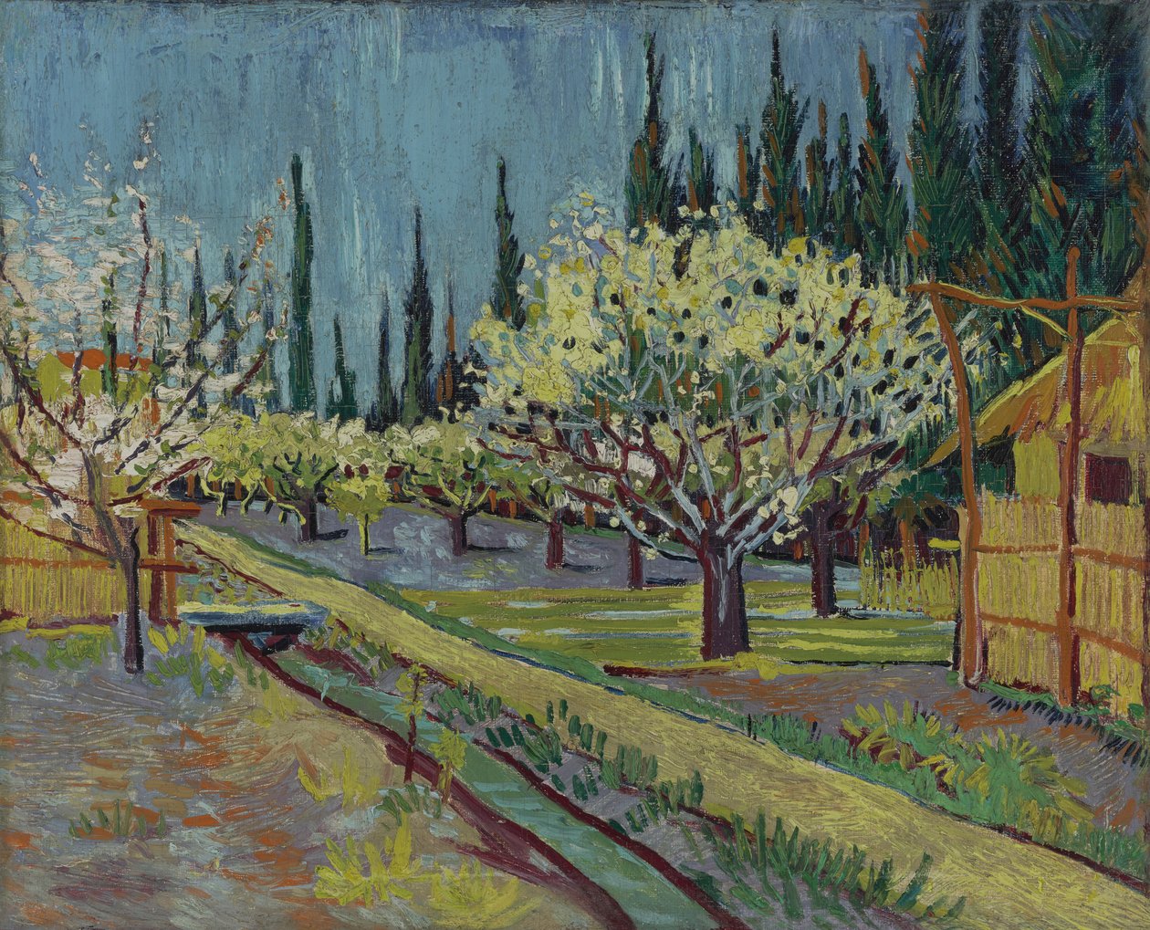 Fruktträdgård kantad av cypresser av Vincent van Gogh