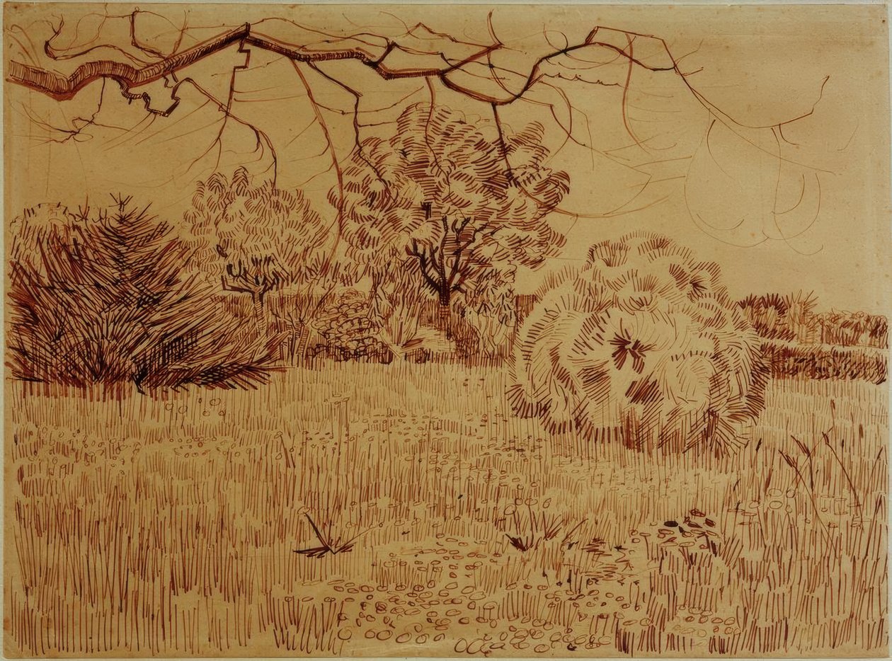 Parkera med en buske av Vincent van Gogh