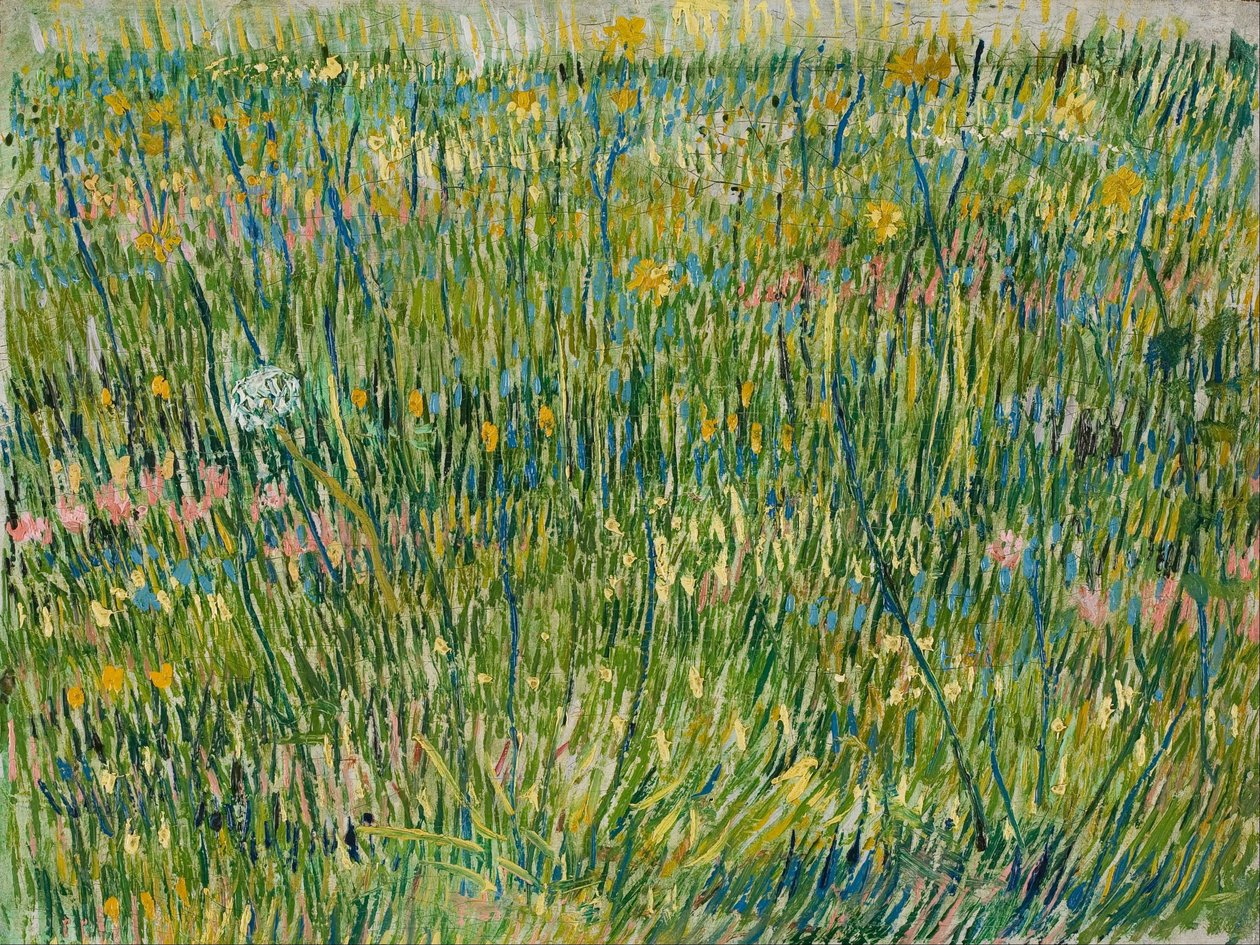 En gräsplätt av Vincent van Gogh