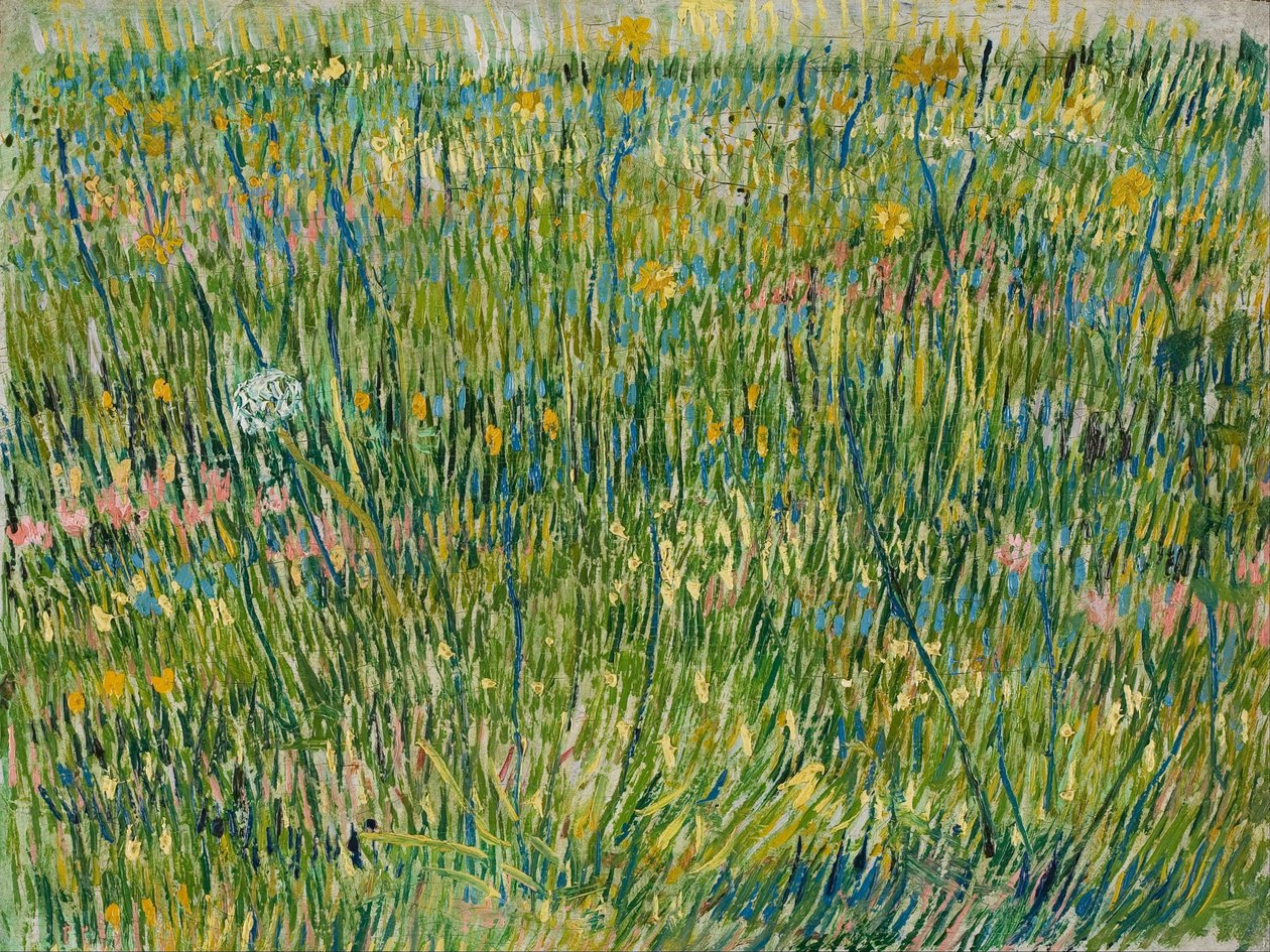 Gräsfläck av Vincent van Gogh