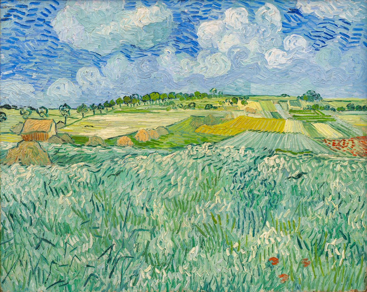 Slätt nära Auvers av Vincent van Gogh