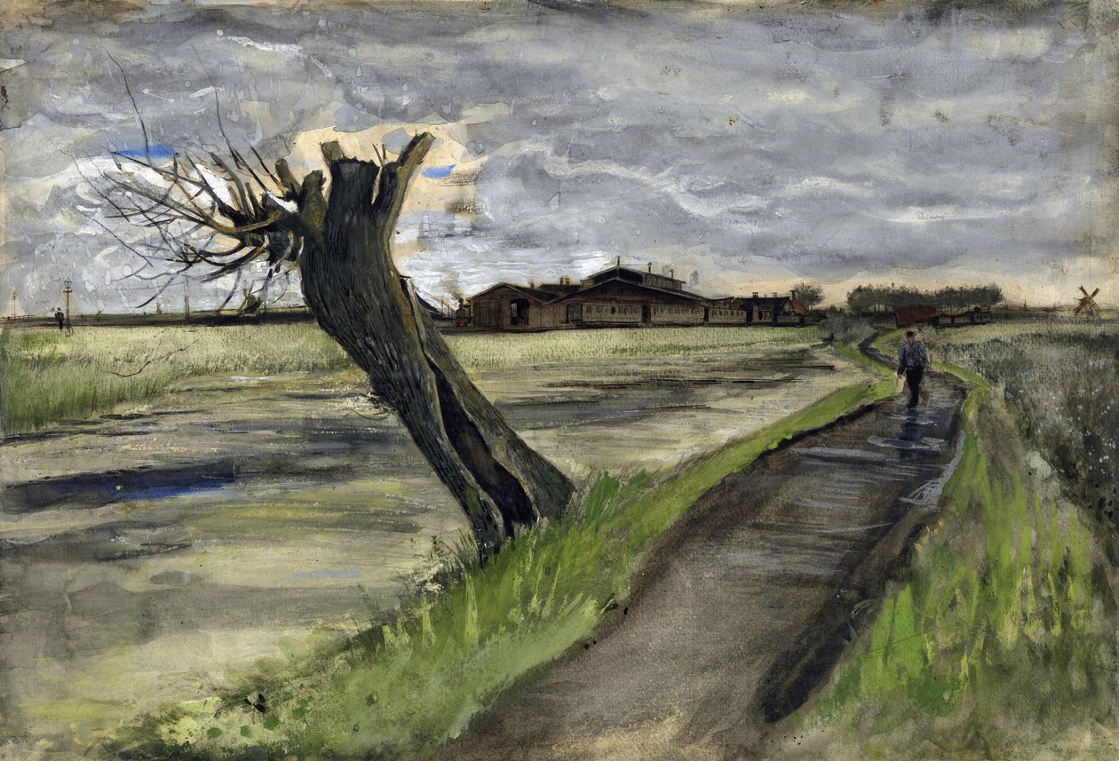 Pollard Willow (saule tetard) av Gogh, Vincent, van (1853-1890). Penna, akvarell, Gouache, bläck på papper, storlek: 38x55,8 av Vincent van Gogh