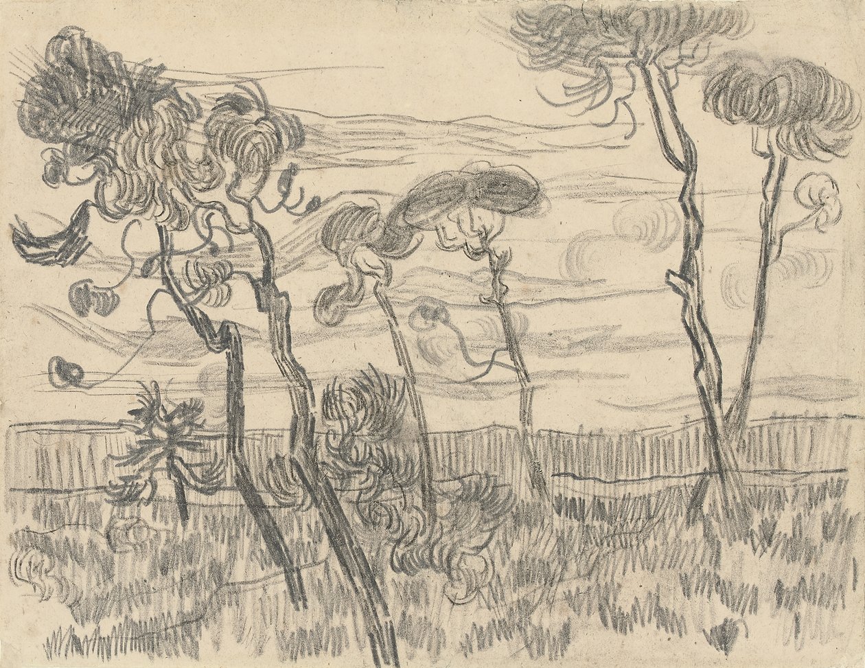 Sex tallar nära inhägnadsväggen, 1899 av Vincent van Gogh