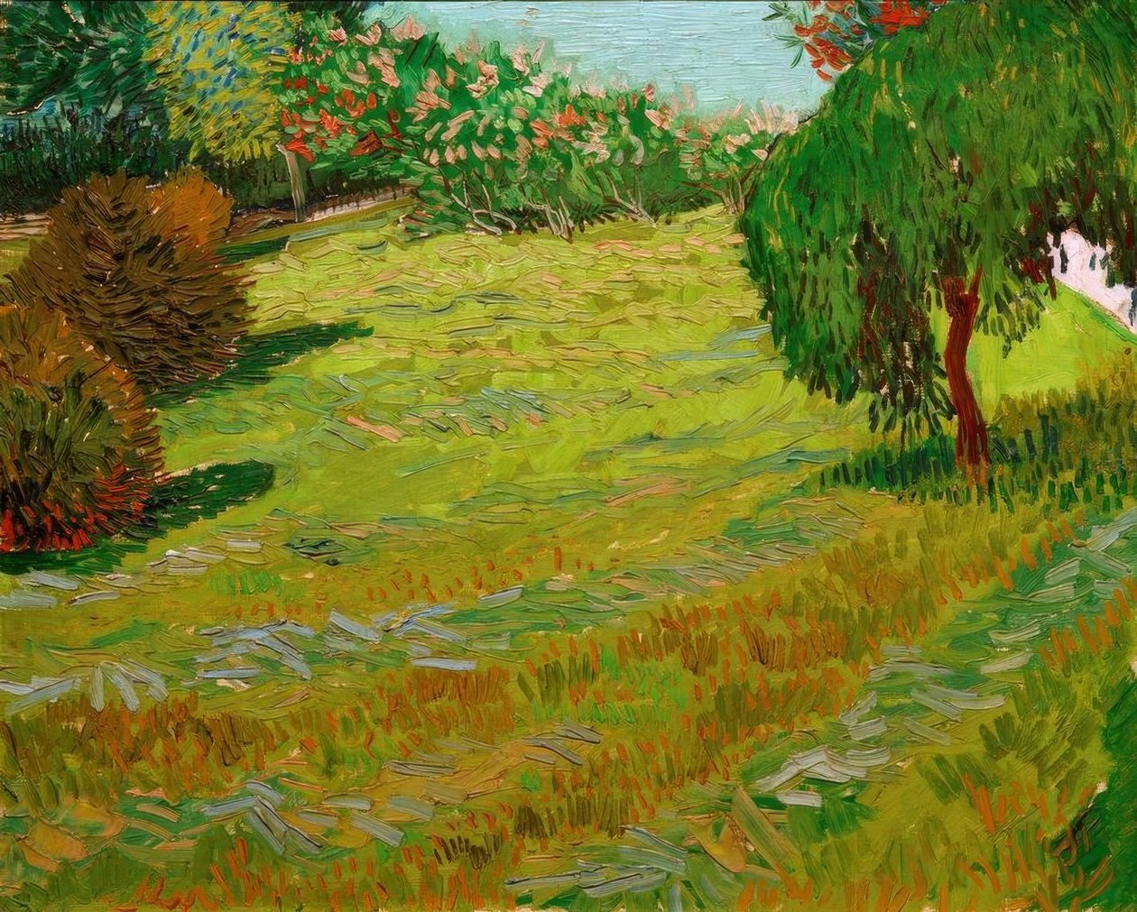 Solig äng: parkera på av Vincent van Gogh