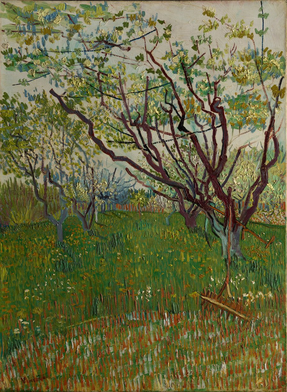 Den blommande fruktträdgården, 1888. av Vincent van Gogh