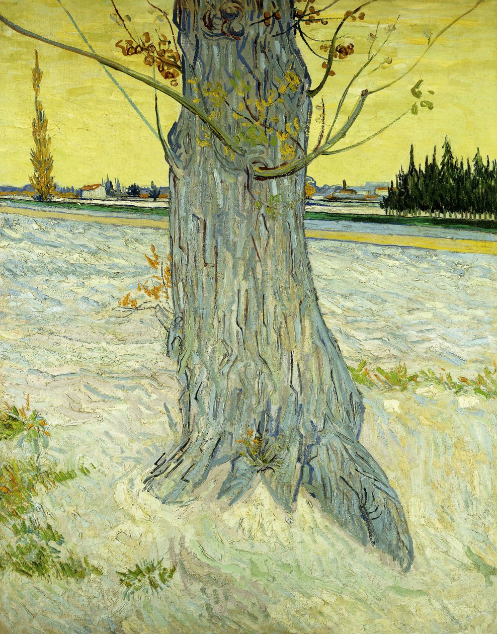 Det gamla trädet; Le Vieil If av Vincent van Gogh
