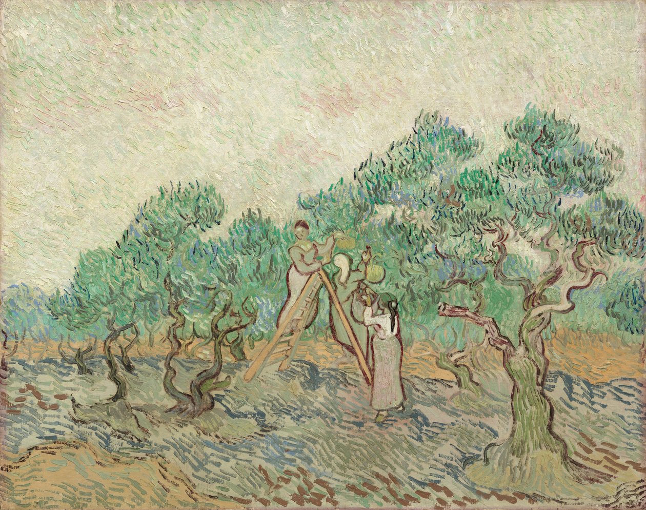 Olivträdgården av Vincent van Gogh
