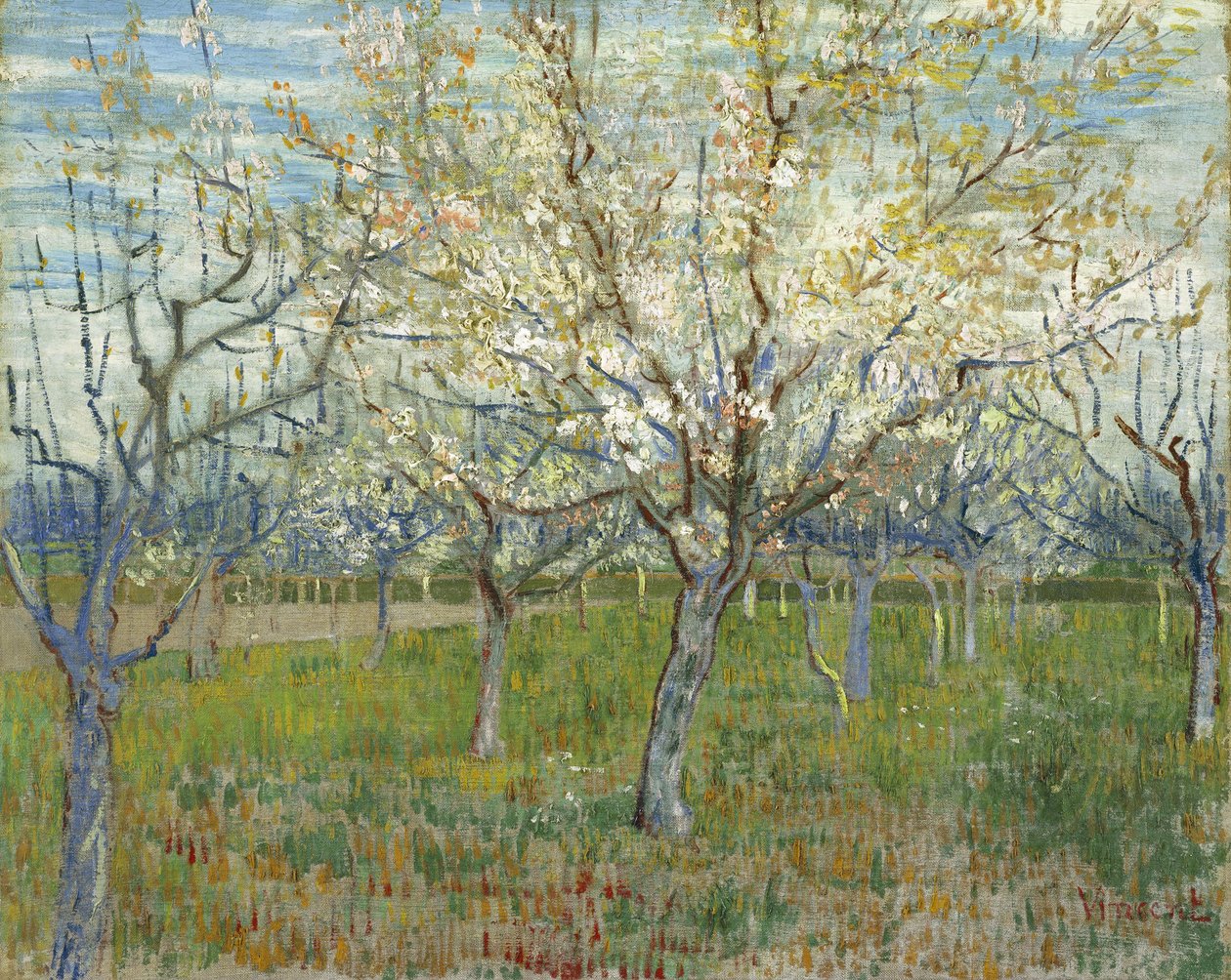 Den rosa fruktträdgården, även Fruktträdgård med blommande aprikosträd av Vincent van Gogh