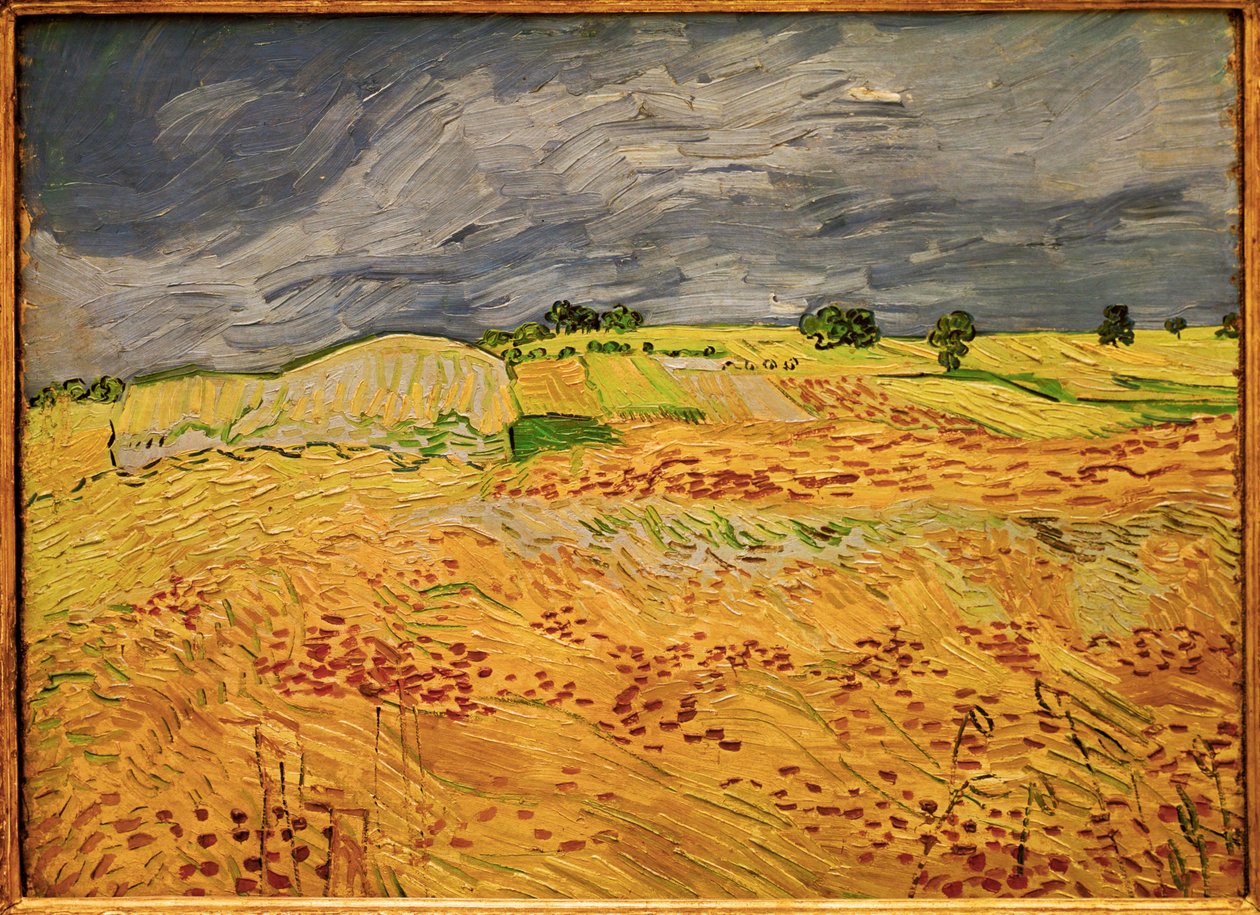 Slätten vid Auvers av Vincent van Gogh