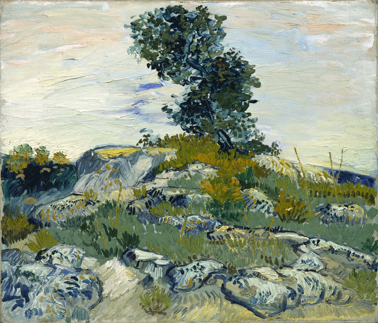 Klipporna / Klippor med ek av Vincent van Gogh