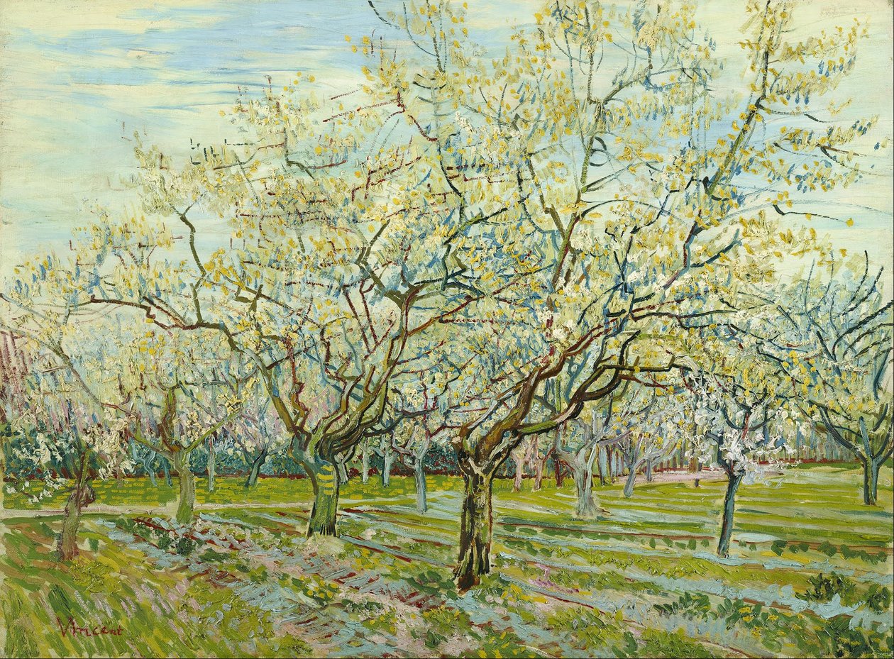 Den vita fruktträdgården av Vincent van Gogh