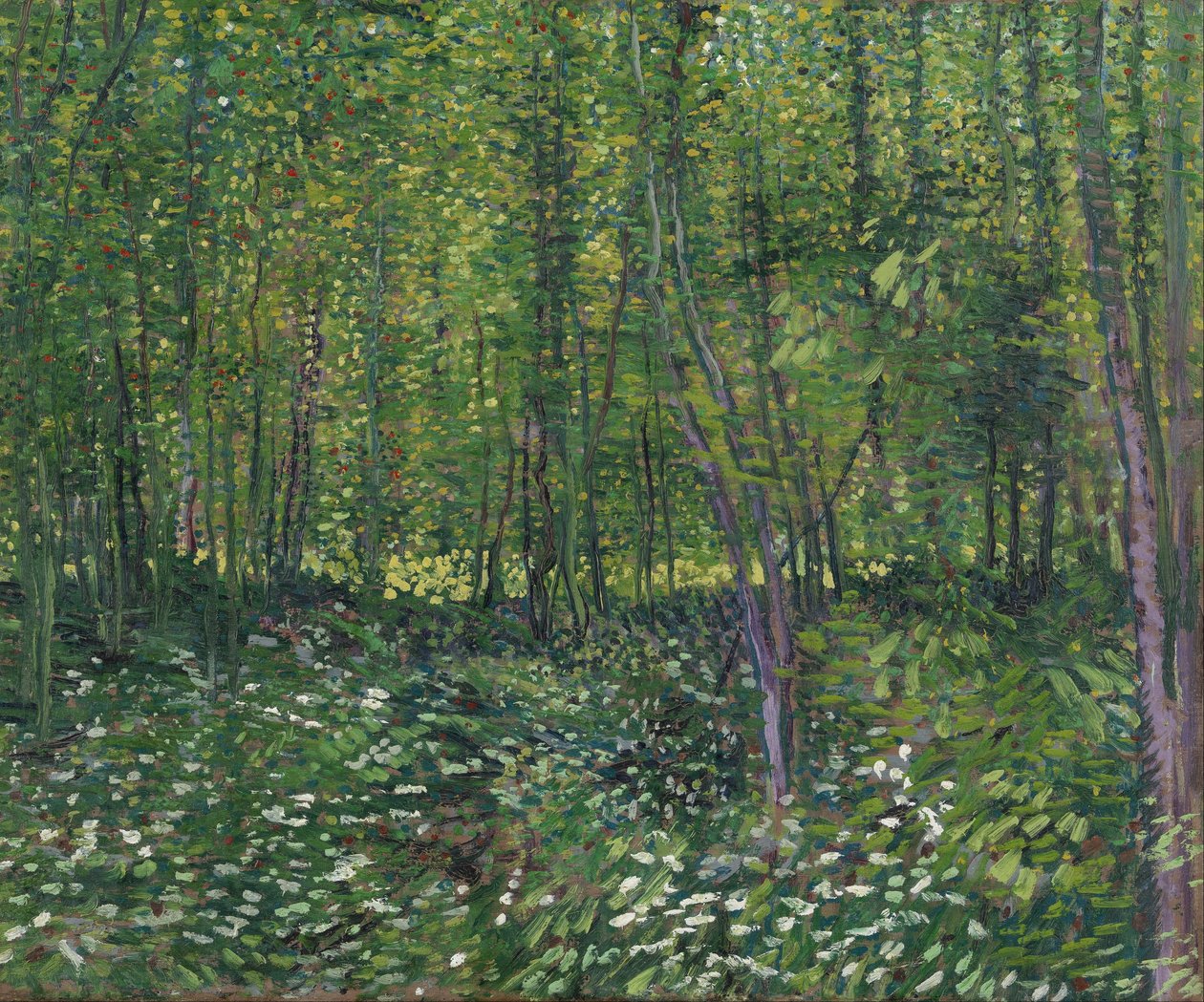 Träd och undervegetation av Vincent van Gogh