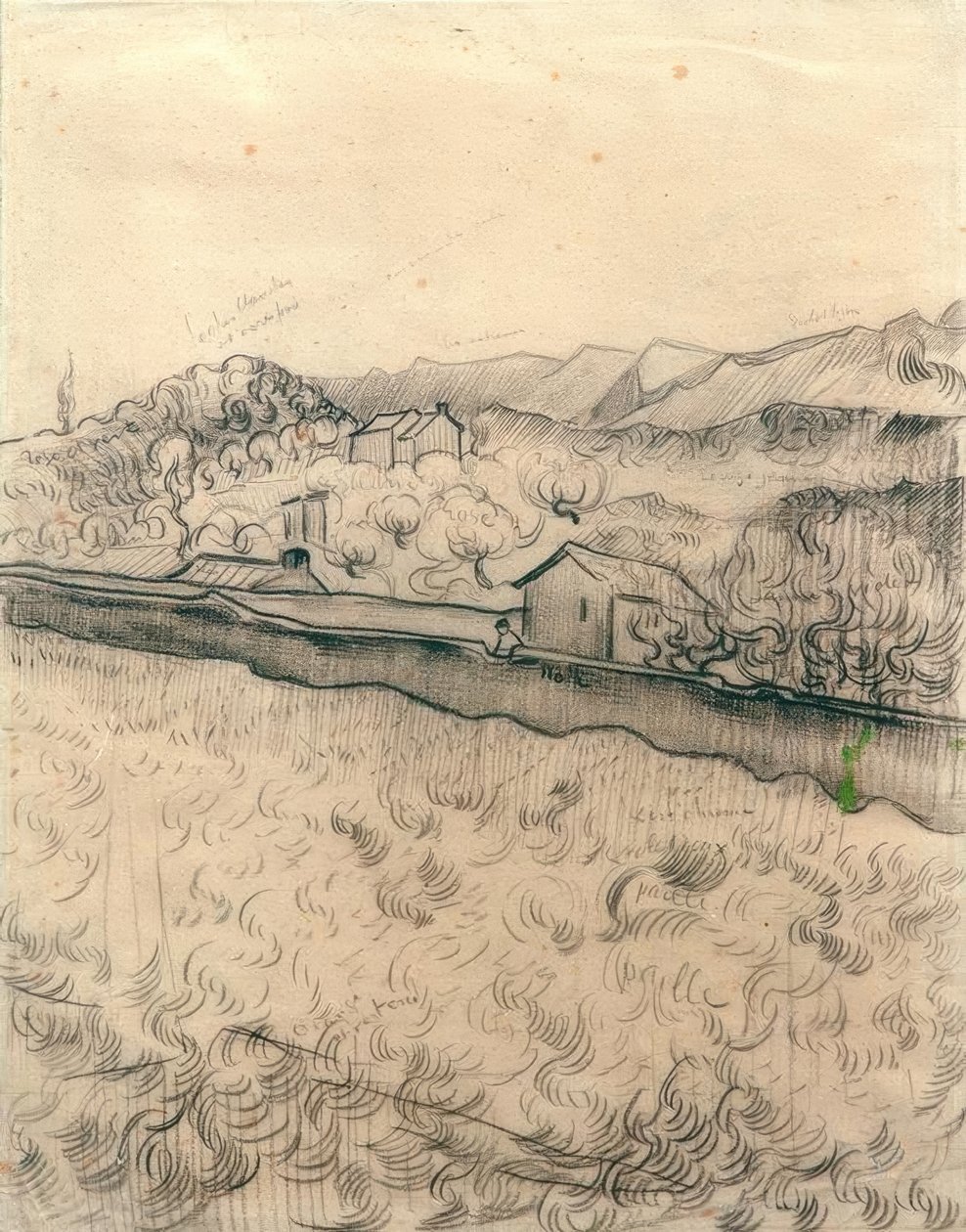 Muromgärdat fält av Vincent van Gogh