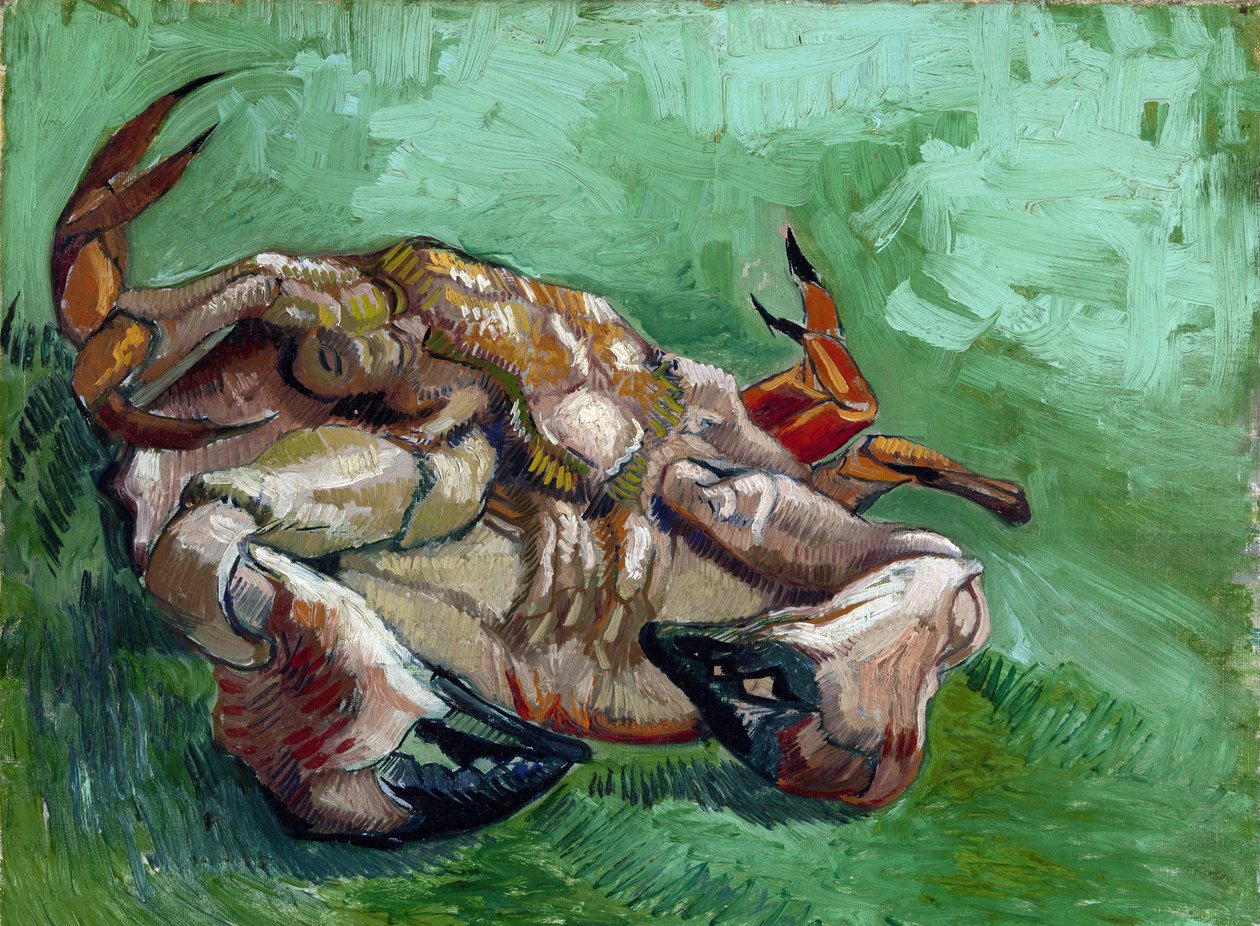 "En krabba som ligger på rygg" Målning av Vincent van Gogh (1853-1890) 1889 Dim 38x46,5 cm Van Gogh Museum, Amsterdam av Vincent van Gogh