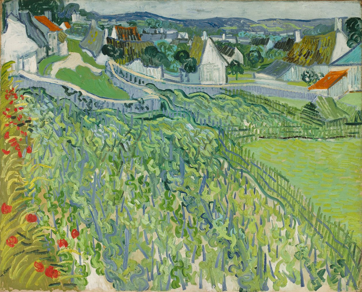 Vingårdar i Auvers av Vincent van Gogh